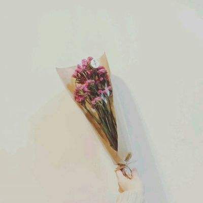宝贝要独立手机版下载